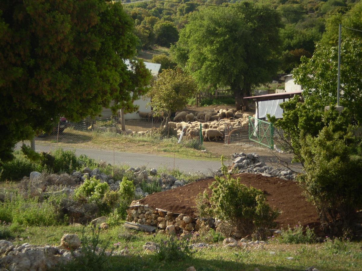 מלון Karyes Arachovitika Kalivia מראה חיצוני תמונה