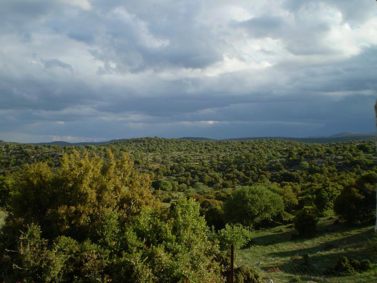 מלון Karyes Arachovitika Kalivia מראה חיצוני תמונה