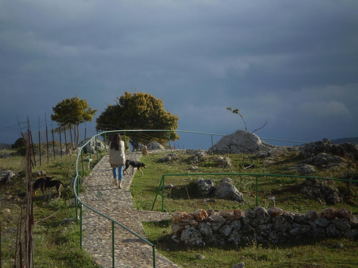 מלון Karyes Arachovitika Kalivia מראה חיצוני תמונה